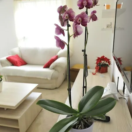 Appartement Vlatka Split