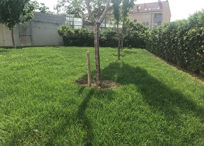 Appartamento Vlatka *